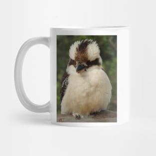 Kookaburra Mug